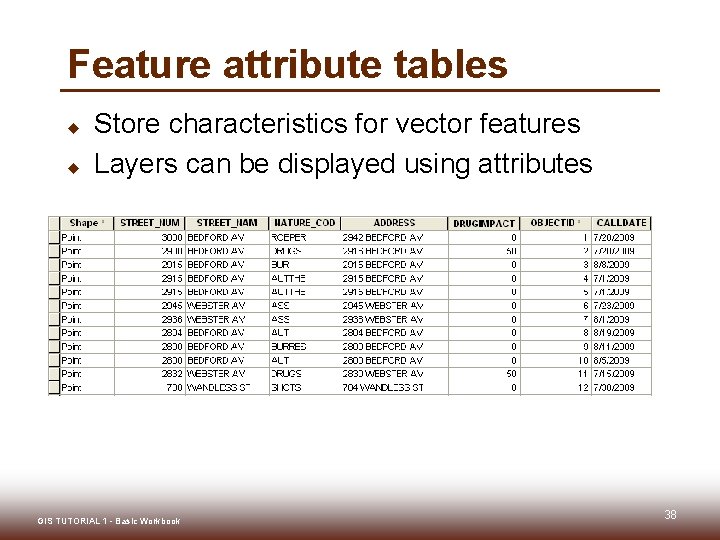 Feature attribute tables u u Store characteristics for vector features Layers can be displayed Feature attribute tables u u Store characteristics for vector features Layers can be displayed