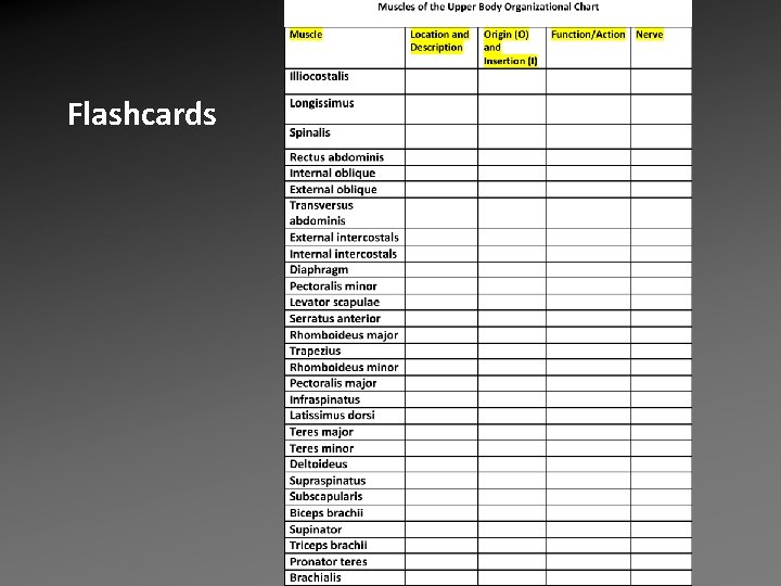 Flashcards Flashcards