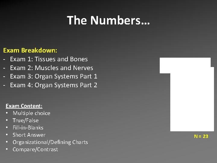 The Numbers… Exam Breakdown: - Exam 1: Tissues and Bones - Exam 2: Muscles The Numbers… Exam Breakdown: - Exam 1: Tissues and Bones - Exam 2: Muscles