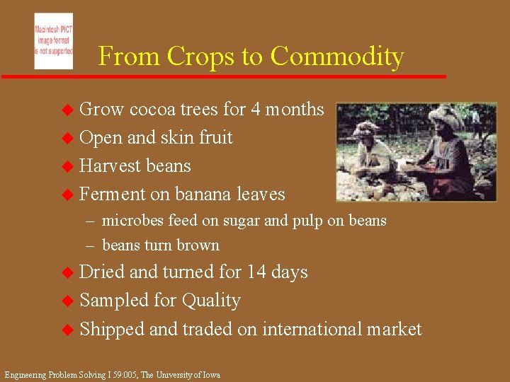 From Crops to Commodity u Grow cocoa trees for 4 months u Open and