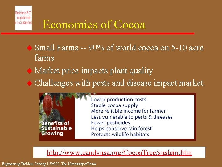 Economics of Cocoa u Small Farms -- 90% of world cocoa on 5 -10