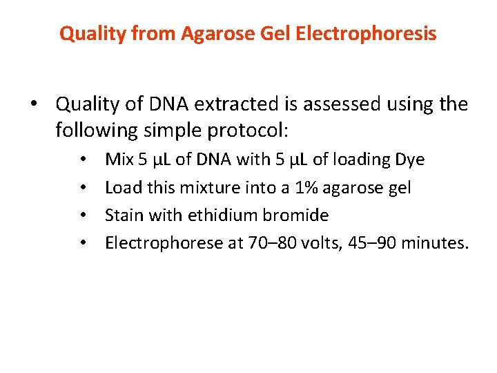 Quality from Agarose Gel Electrophoresis • Quality of DNA extracted is assessed using the