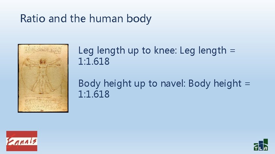 Ratio and the human body Leg length up to knee: Leg length = 1: