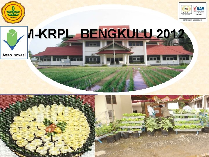 M-KRPL BENGKULU 2012 