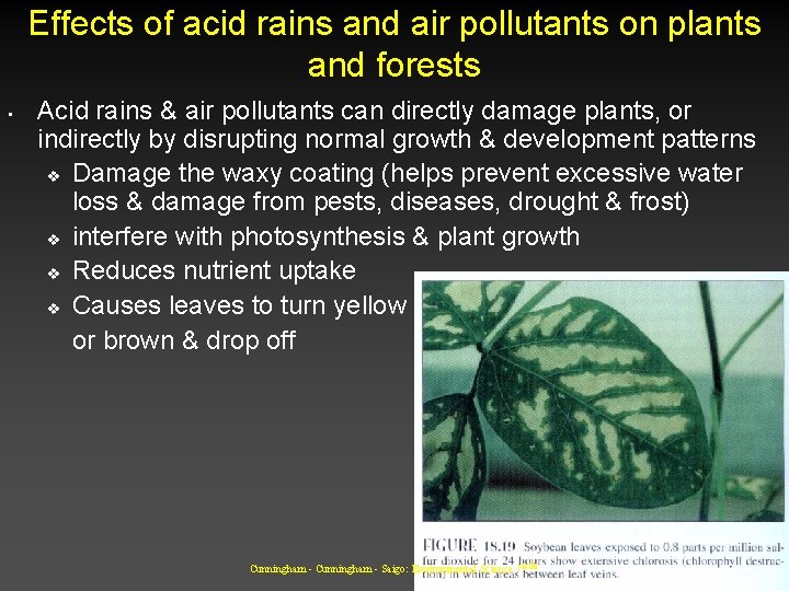 Effects of acid rains and air pollutants on plants and forests • Acid rains