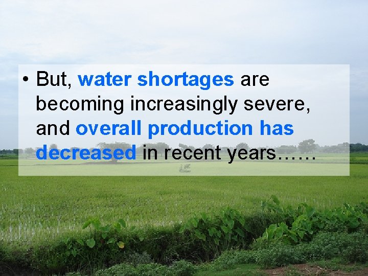  • But, water shortages are becoming increasingly severe, and overall production has decreased