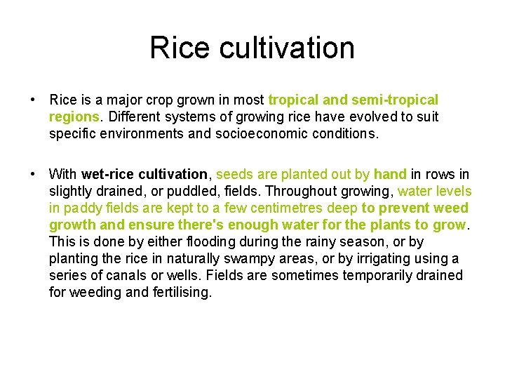 Rice cultivation • Rice is a major crop grown in most tropical and semi-tropical