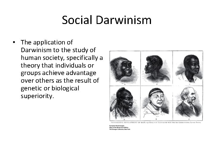 Social Darwinism • The application of Darwinism to the study of human society, specifically