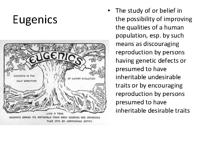 Eugenics • The study of or belief in the possibility of improving the qualities