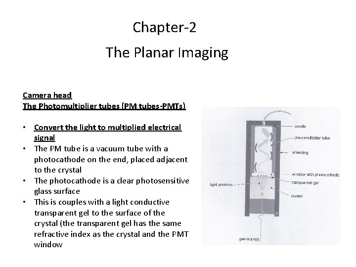 Chapter-2 The Planar Imaging Camera head The Photomultiplier tubes (PM tubes-PMTs) • Convert the