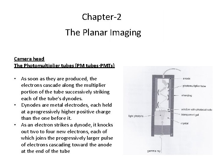 Chapter-2 The Planar Imaging Camera head The Photomultiplier tubes (PM tubes-PMTs) • As soon