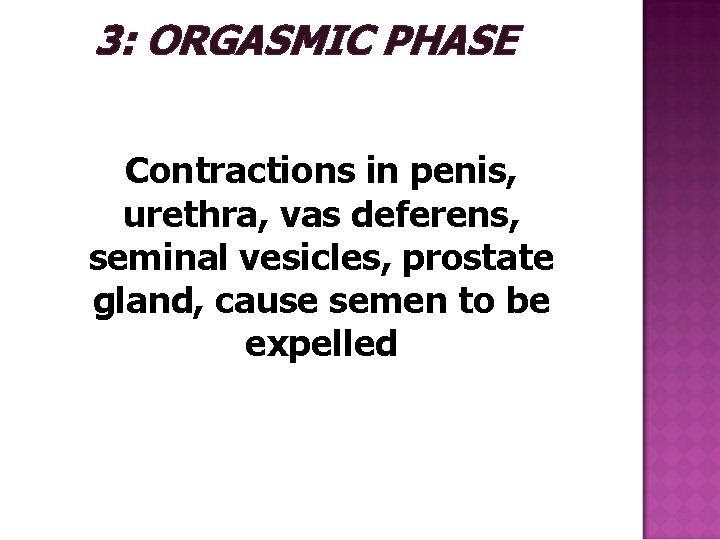 3: ORGASMIC PHASE Contractions in penis, urethra, vas deferens, seminal vesicles, prostate gland, cause