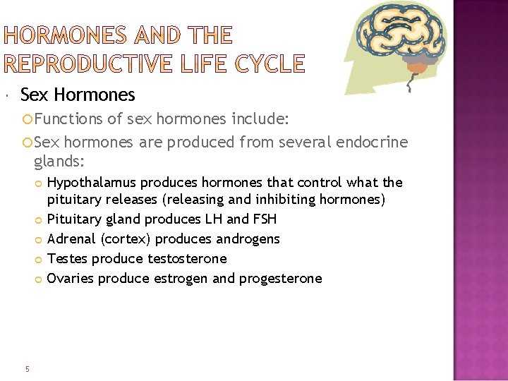 Sex Hormones Functions of sex hormones include: Sex hormones are produced from several