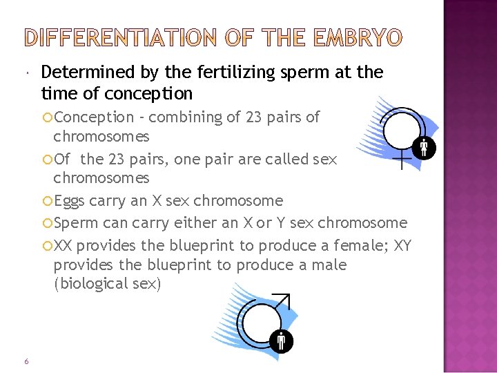  Determined by the fertilizing sperm at the time of conception Conception - combining