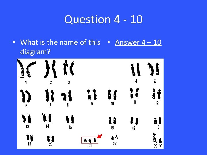 Question 4 - 10 • What is the name of this • Answer 4