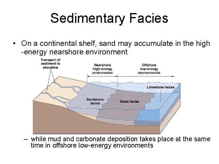 Sedimentary Facies • On a continental shelf, sand may accumulate in the high -energy