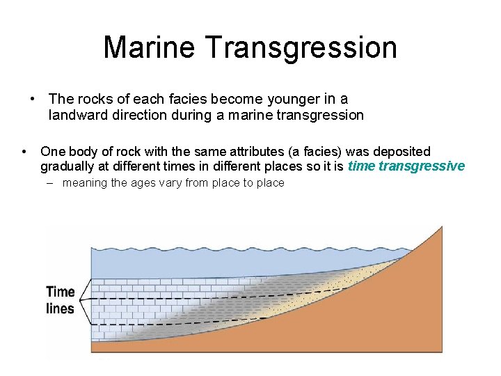 Marine Transgression • The rocks of each facies become younger in a landward direction