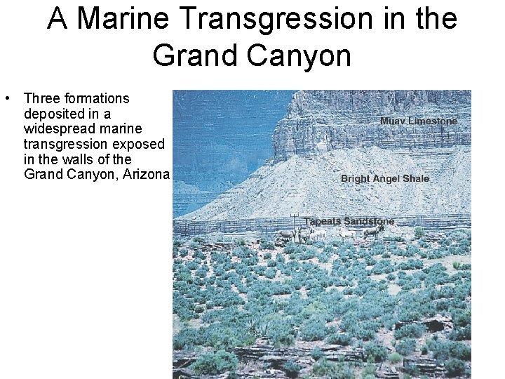 A Marine Transgression in the Grand Canyon • Three formations deposited in a widespread