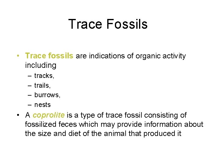 Trace Fossils • Trace fossils are indications of organic activity including – – tracks,
