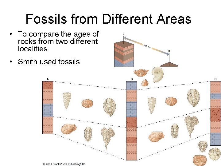 Fossils from Different Areas • To compare the ages of rocks from two different
