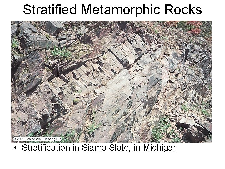 Stratified Metamorphic Rocks • Stratification in Siamo Slate, in Michigan 