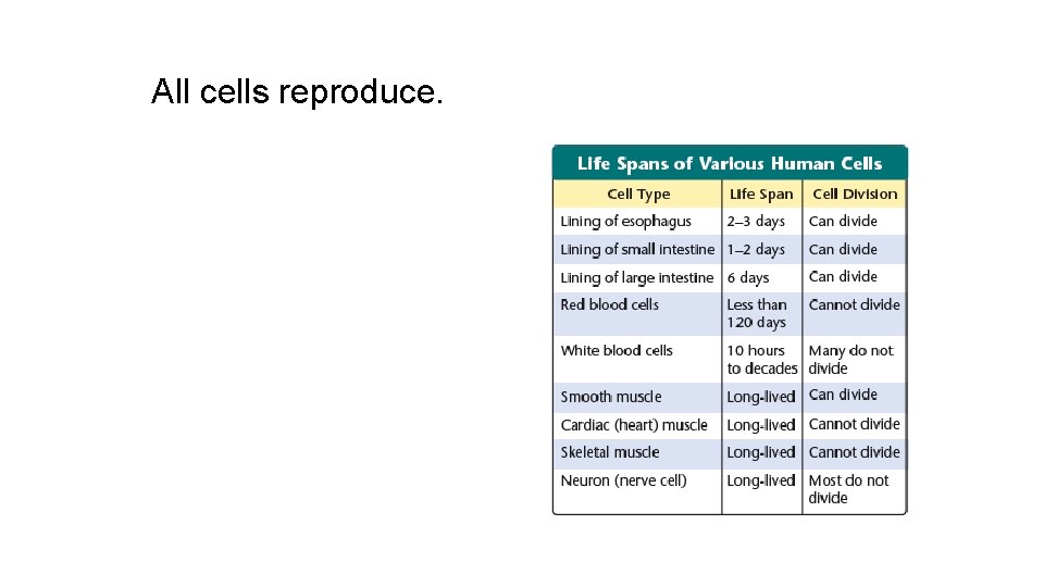 All cells reproduce. 