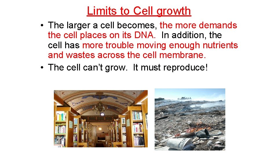 Limits to Cell growth • The larger a cell becomes, the more demands the