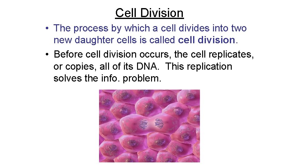 Cell Division • The process by which a cell divides into two new daughter