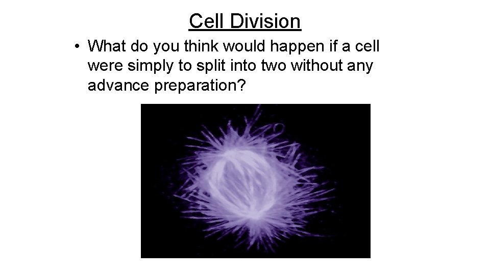 Cell Division • What do you think would happen if a cell were simply