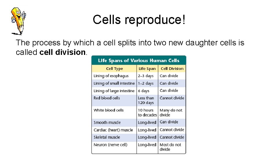 Cells reproduce! The process by which a cell splits into two new daughter cells