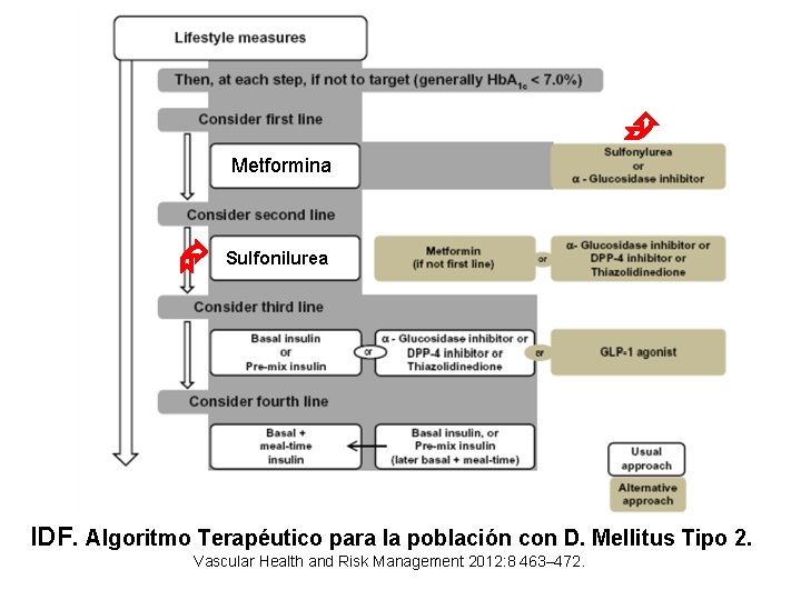  Metformina Sulfonilurea IDF. Algoritmo Terapéutico para la población con D. Mellitus Tipo 2.