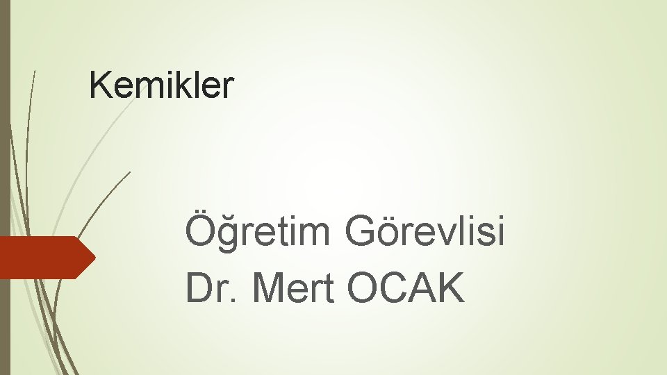 Kemikler Öğretim Görevlisi Dr. Mert OCAK 