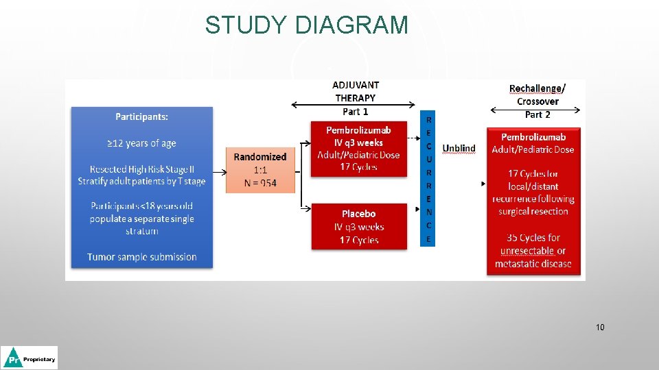 STUDY DIAGRAM 10 