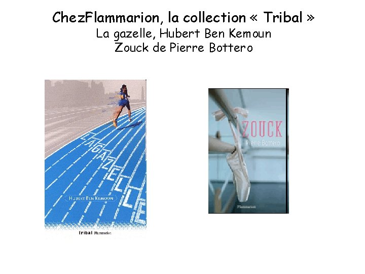 Chez. Flammarion, la collection « Tribal » La gazelle, Hubert Ben Kemoun Zouck de