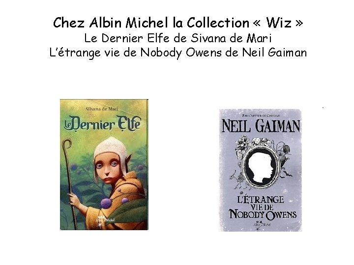 Chez Albin Michel la Collection « Wiz » Le Dernier Elfe de Sivana de