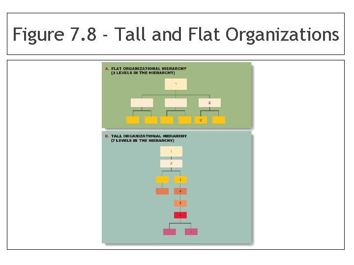 Figure 7. 8 - Tall and Flat Organizations 