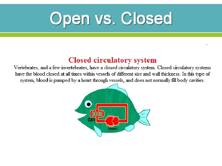 Open vs. Closed 