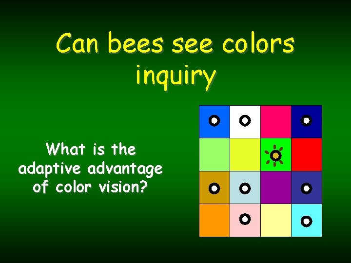 Can bees see colors inquiry What is the adaptive advantage of color vision? 