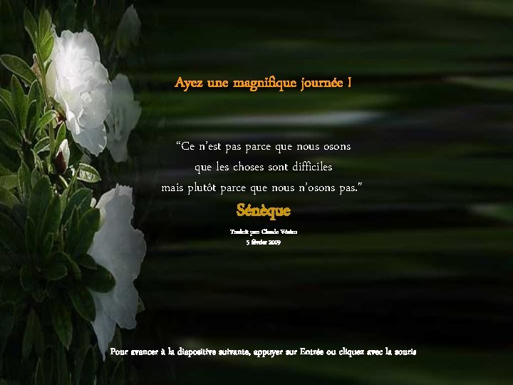 Ayez une magnifique journée ! “Ce n’est pas parce que nous osons que les