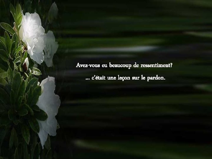 Avez-vous eu beaucoup de ressentiment? . . . c’était une leçon sur le pardon.