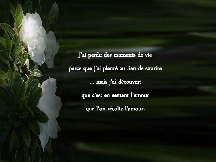 J’ai perdu des moments de vie parce que j’ai pleuré au lieu de sourire