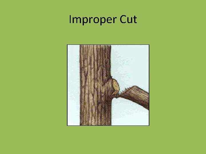 Improper Cut 