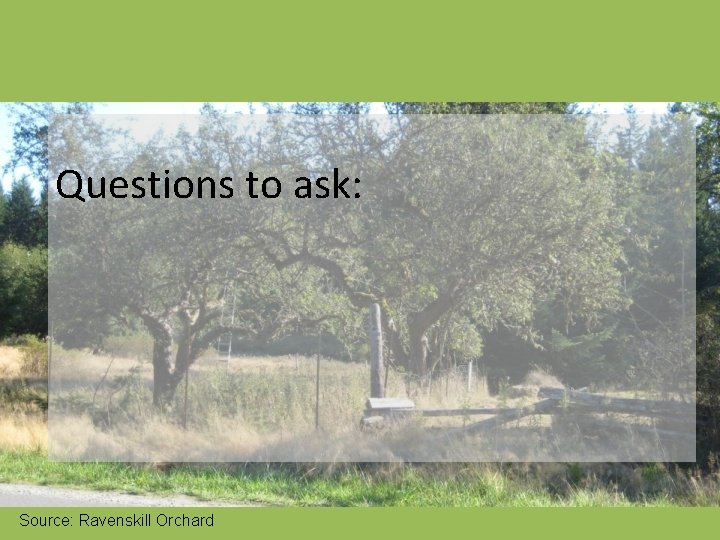 Questions to ask: Source: Ravenskill Orchard 