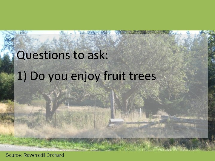 Questions to ask: 1) Do you enjoy fruit trees Source: Ravenskill Orchard 