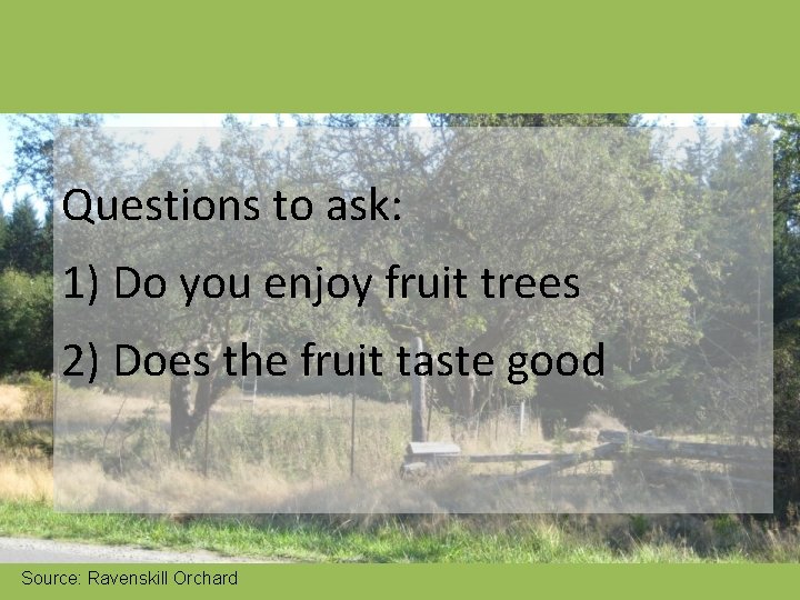 Questions to ask: 1) Do you enjoy fruit trees 2) Does the fruit taste