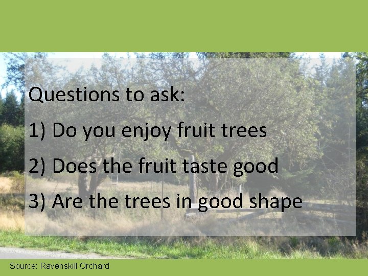 Questions to ask: 1) Do you enjoy fruit trees 2) Does the fruit taste