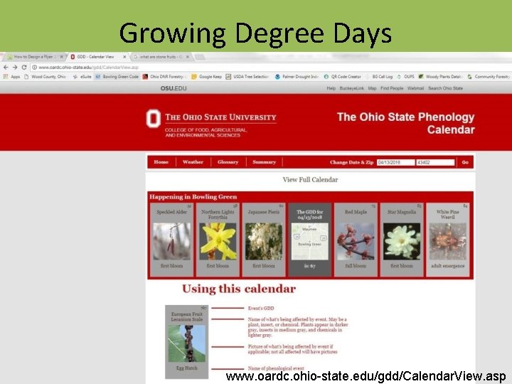 Growing Degree Days www. oardc. ohio-state. edu/gdd/Calendar. View. asp 