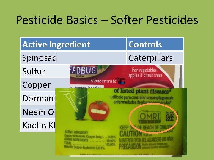 Pesticide Basics – Softer Pesticides Active Ingredient Spinosad Sulfur Copper Dormant/Horticultural Oil Neem Oil