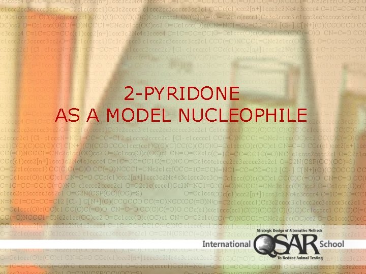 2 -PYRIDONE AS A MODEL NUCLEOPHILE 
