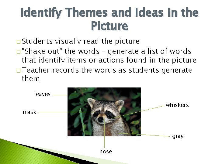 Identify Themes and Ideas in the Picture � Students visually read the picture �